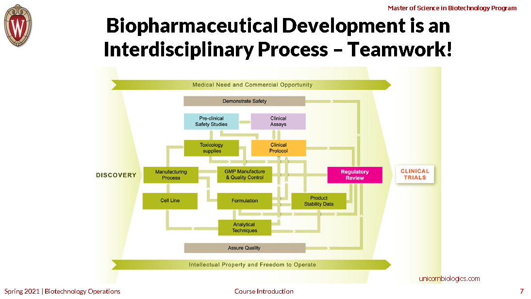 Biopharmaceutical drug development cycle figure