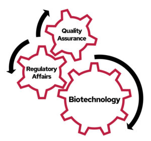 image showing gears and how they QA and RA work together to turn the biotechnology industry